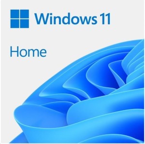 Windows 11 Home 64bit ESD