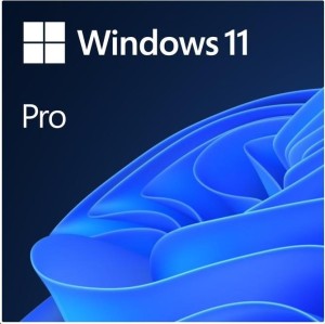 Windows 11 Pro 64bit ESD